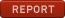 REPORT