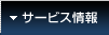 �T�[�r�X���