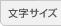 �����T�C�Y