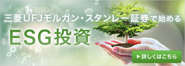 三菱ufjモルガン スタンレー証券株式会社