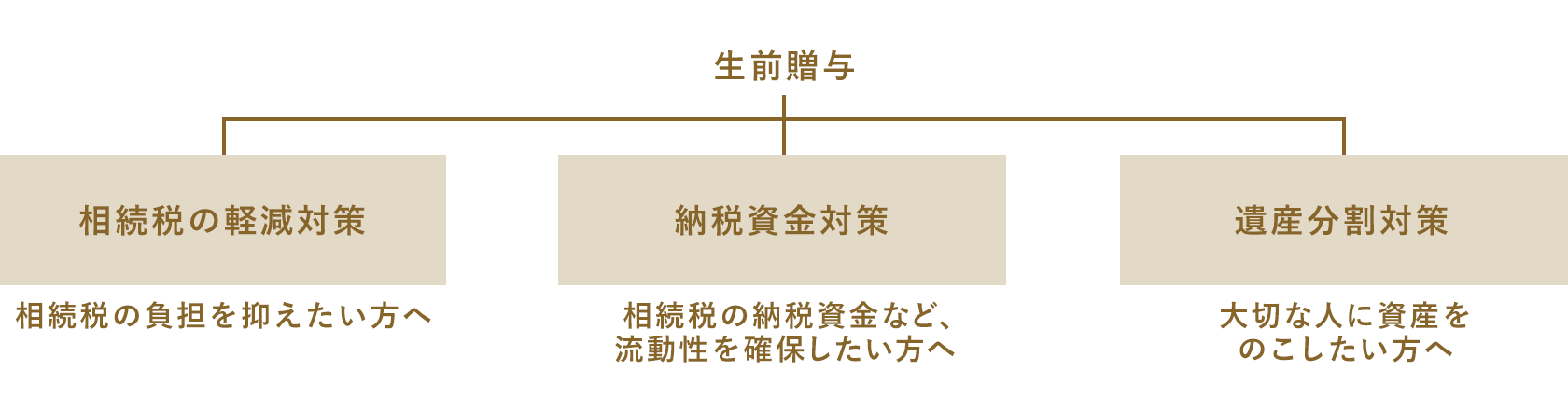 相続税の軽減対策　納税資金対策　遺産分割対策