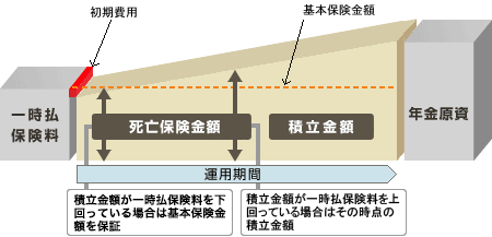 積立金額が基本保険金額（払込保険料相当額）を上回った場合