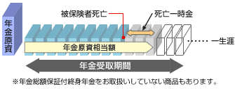 年金総額保証付終身年金（保証金額付終身年金）