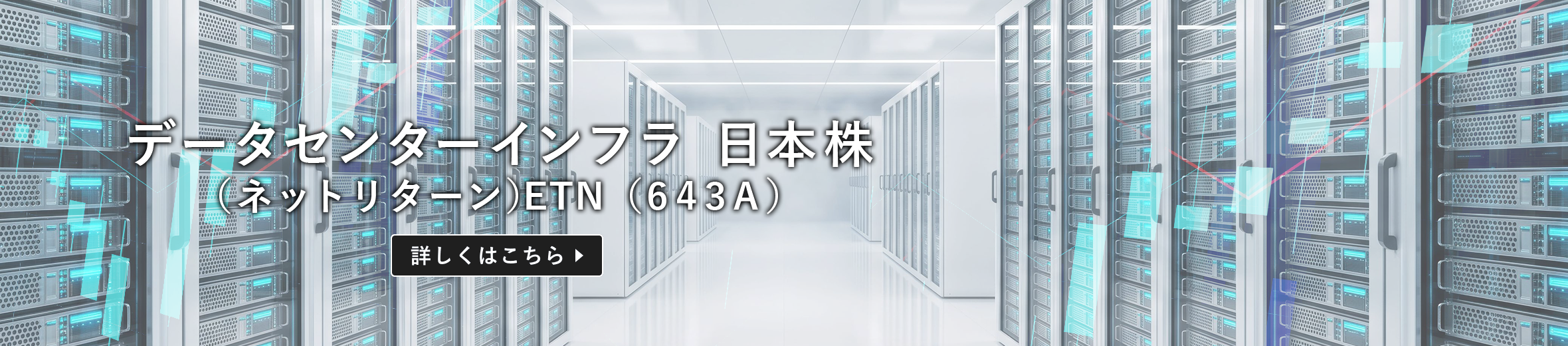 データセンターインフラ 日本株（ネットリターン）ETN