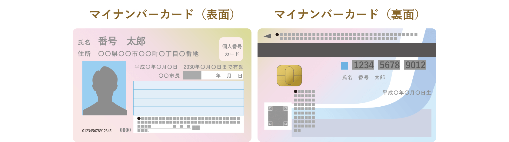 個人番号カード(表面)(裏面)